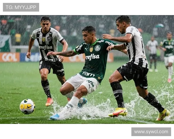 帕梅拉斯与累体育2017年精彩对决回顾与分析